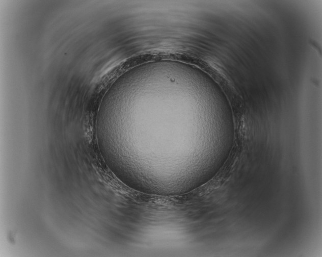 X0000100971015200807081214
