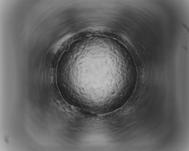 X0000100971016200807081214