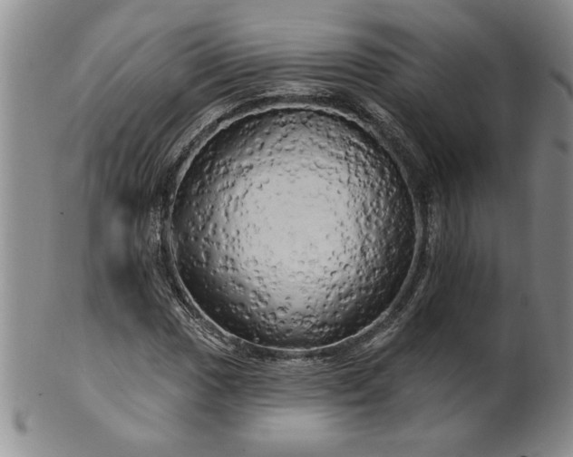 X0000100971017200807081214