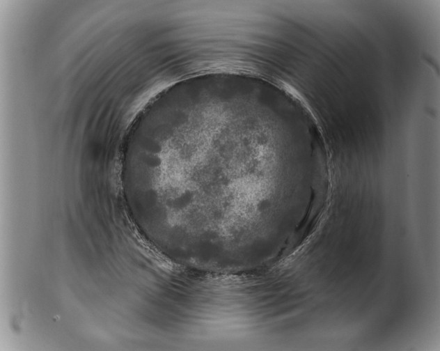 X0000100971019200807081214