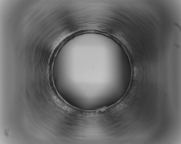 X0000100971020200807081214