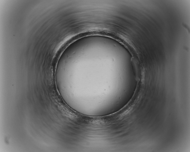 X0000100971021200807081214