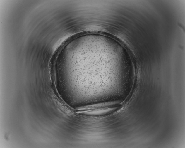 X0000100971022200807081214