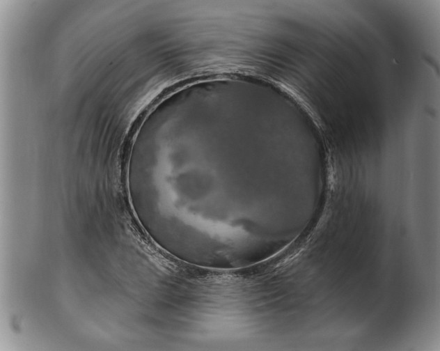 X0000100971023200807081214