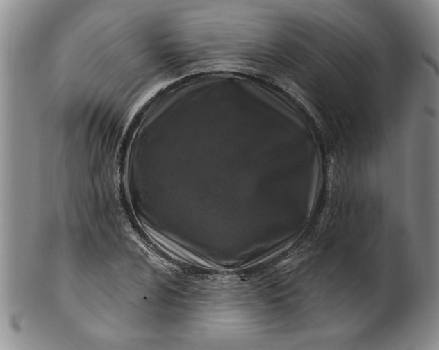 X0000100971024200807081214