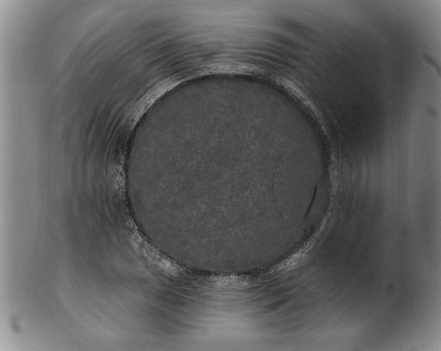 X0000100971025200807081214
