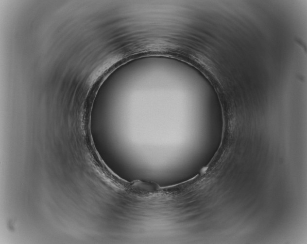 X0000100971026200807081214