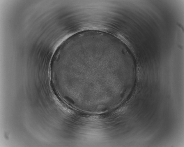 X0000100971028200807081214