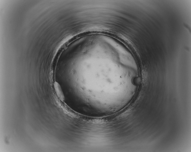 X0000100971029200807081214