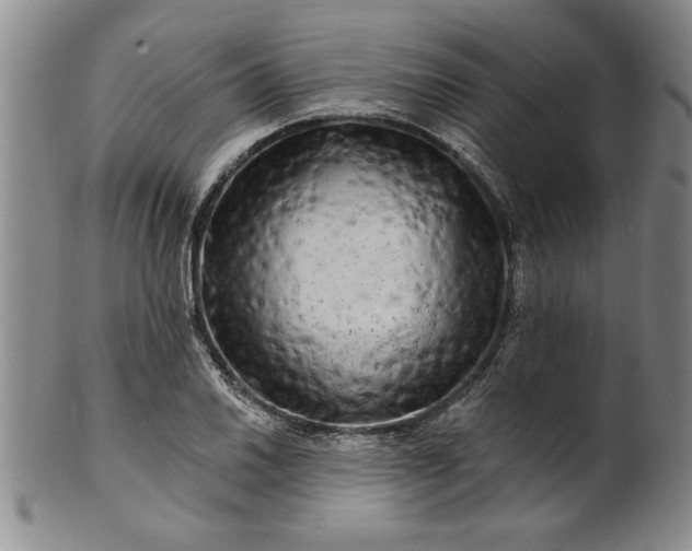 X0000100971030200807081214