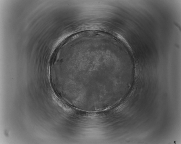 X0000100971035200807081214