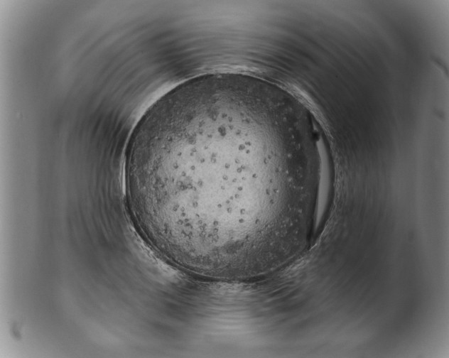 X0000100971036200807081214