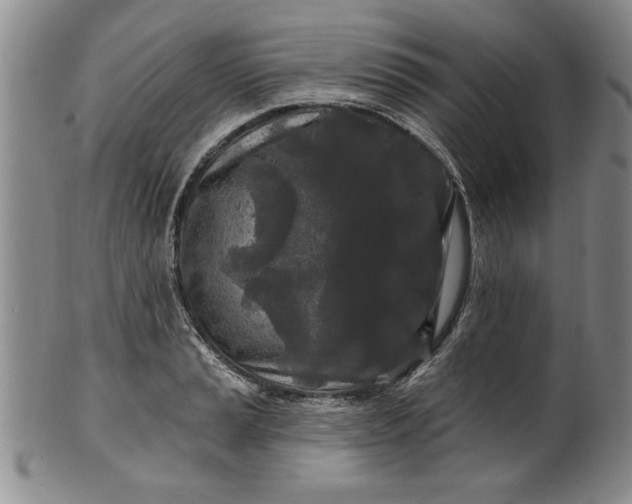 X0000100971037200807081214
