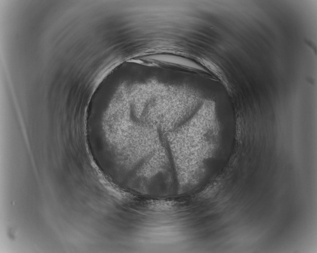 X0000100971039200807081214