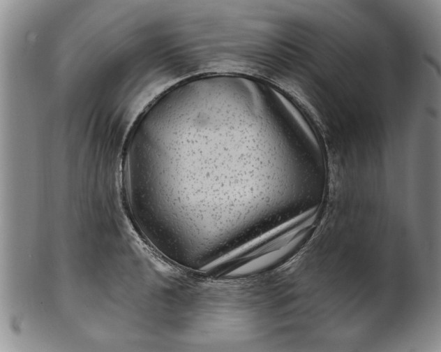 X0000100971040200807081214