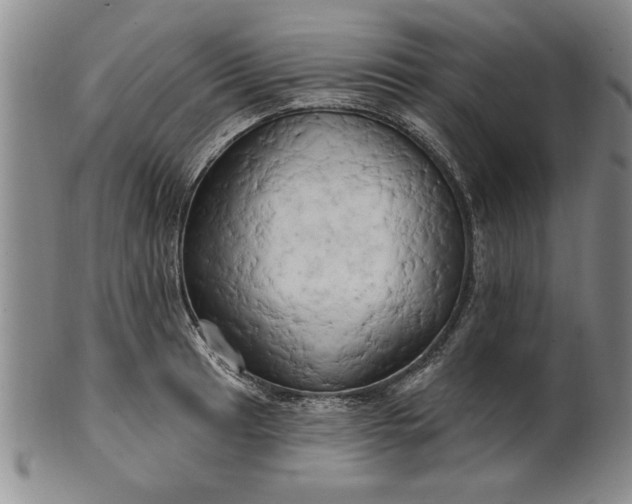 X0000100971041200807081214