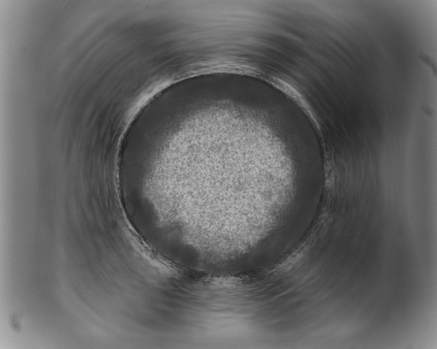 X0000100971043200807081214
