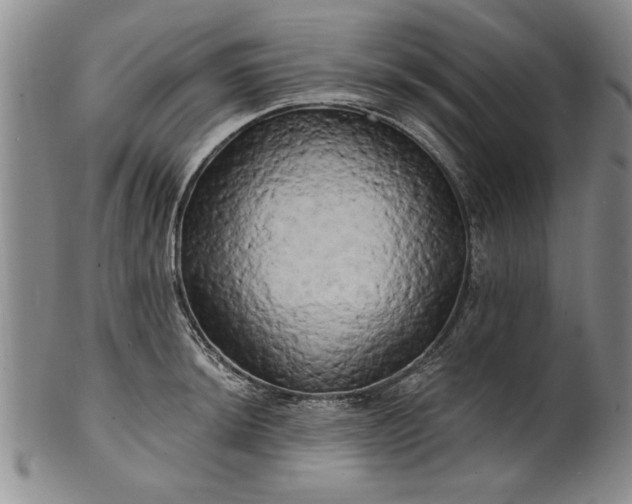 X0000100971044200807081214