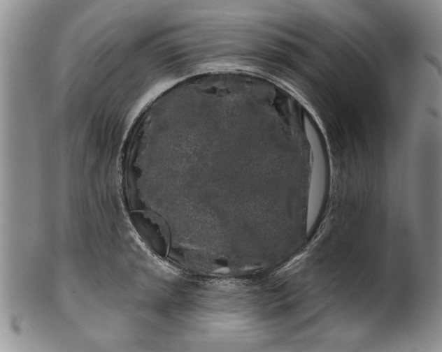 X0000100971045200807081214