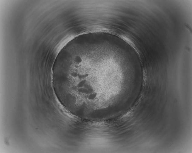 X0000100971047200807081214