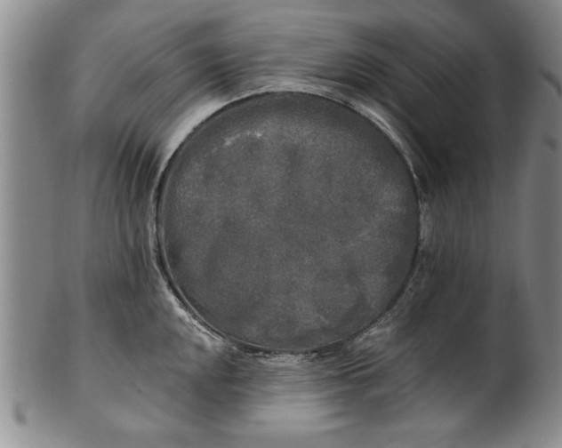 X0000100971048200807081214