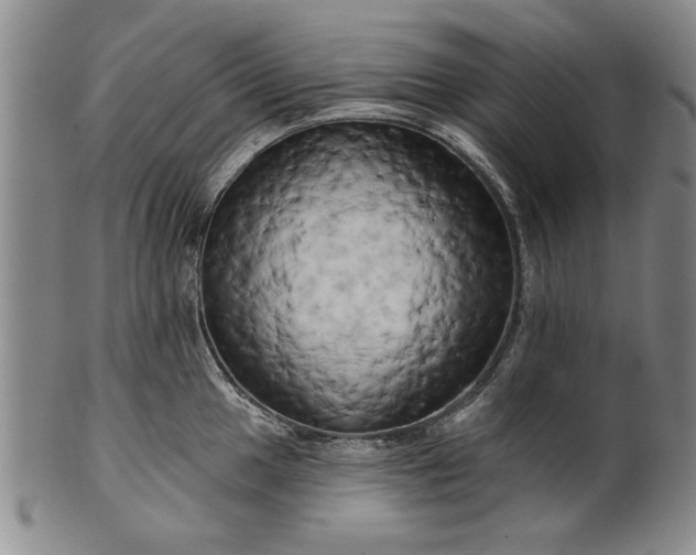 X0000100971049200807081214