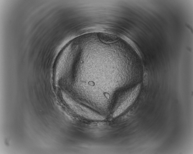 X0000100971051200807081214