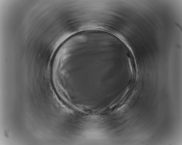 X0000100971053200807081214