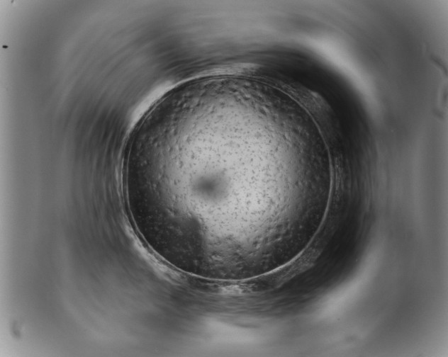 X0000100971054200807081214