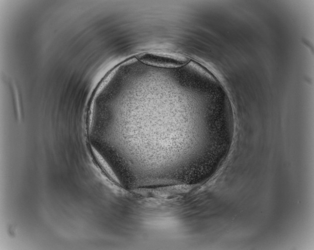 X0000100971056200807081214