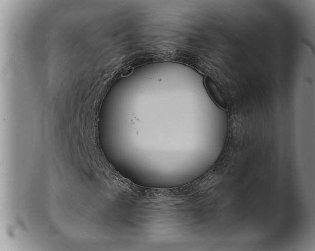 X0000100971057200807081214