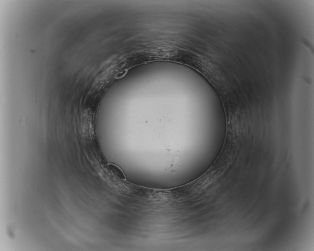 X0000100971058200807081214