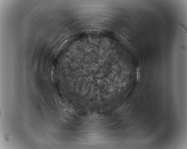 X0000100971059200807081214