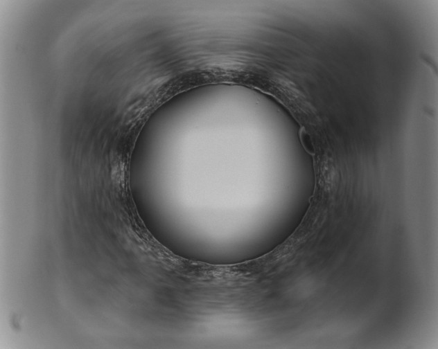 X0000100971061200807081214