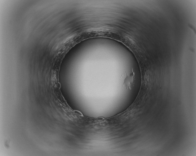 X0000100971062200807081214