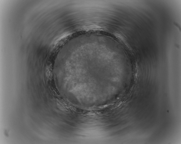 X0000100971063200807081214