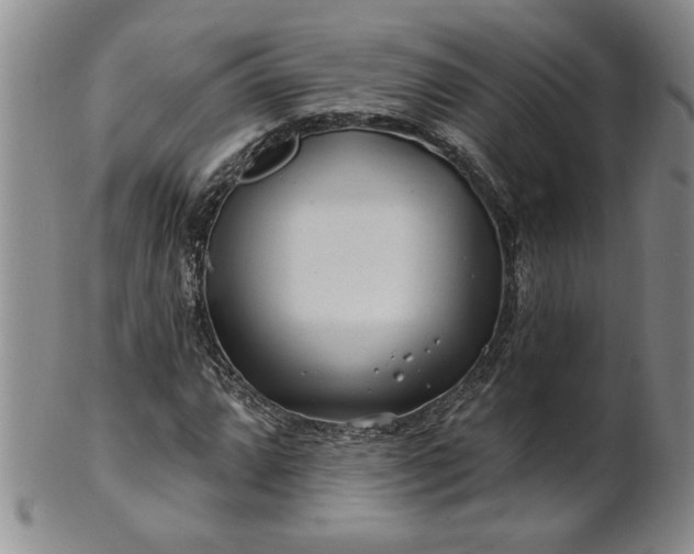 X0000100971064200807081214