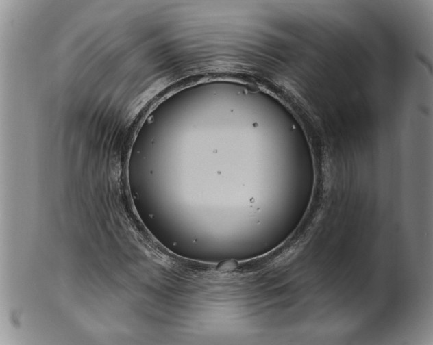 X0000100971065200807081214
