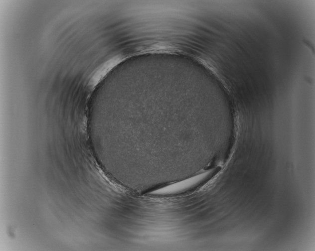 X0000100971066200807081214