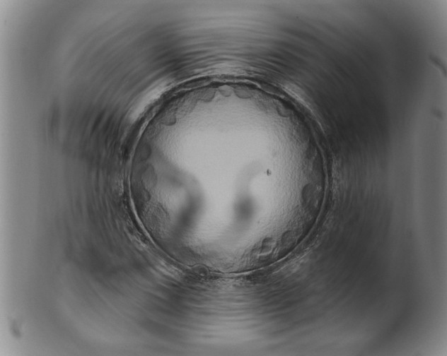 X0000100971067200807081214