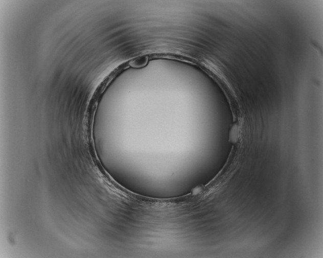 X0000100971068200807081214