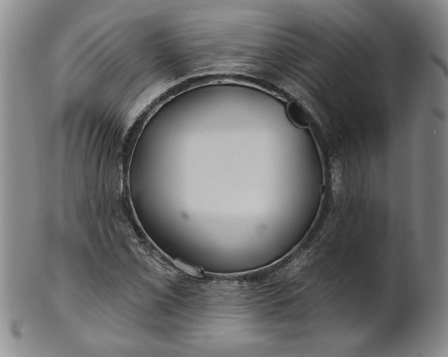 X0000100971069200807081214