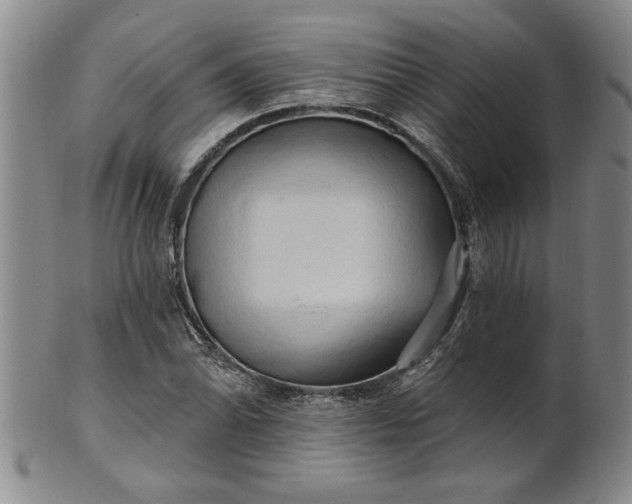 X0000100971070200807081213
