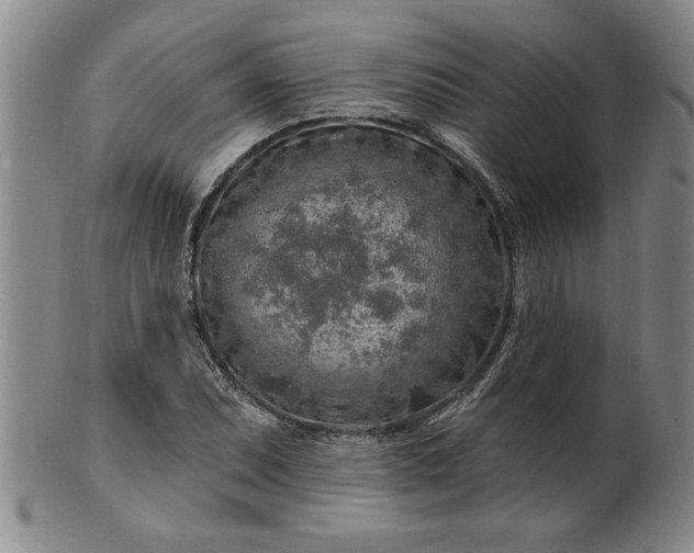 X0000100971071200807081213