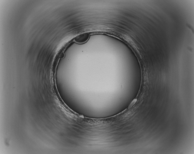 X0000100971072200807081213