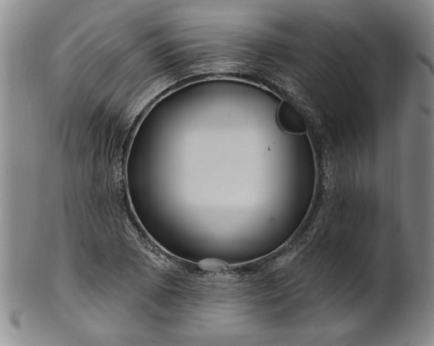 X0000100971073200807081213