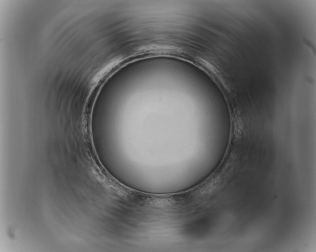 X0000100971074200807081213