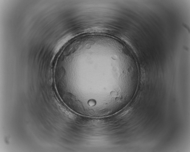 X0000100971075200807081213