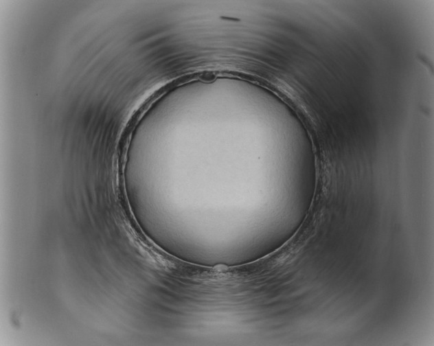 X0000100971076200807081213
