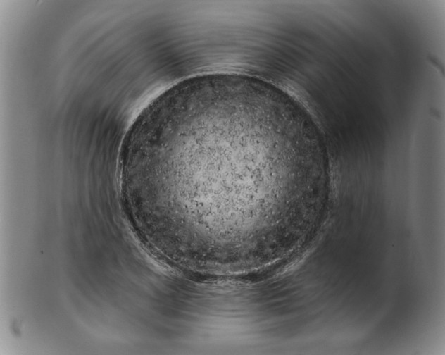 X0000100971077200807081213